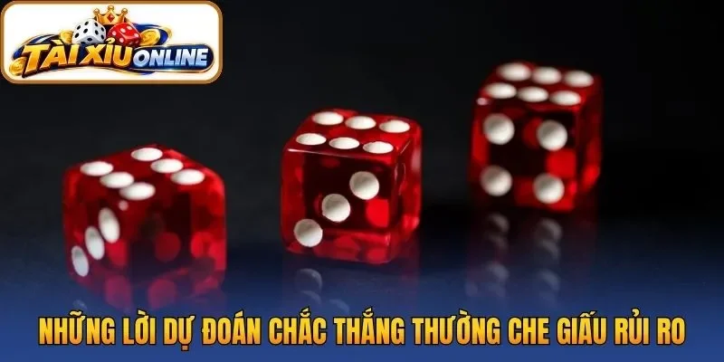 Những lời dự đoán chắc thắng thường che giấu rủi ro