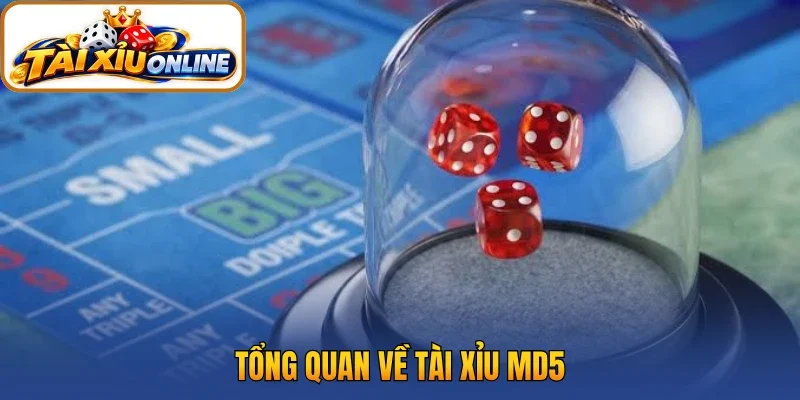 Tổng quan về tài xỉu MD5